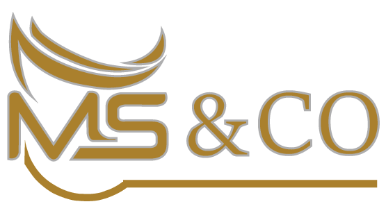 MS & CO Chartered Accountants logo